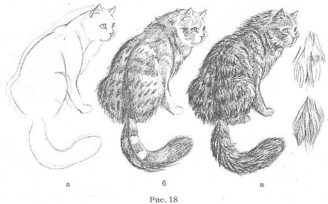 Как рисовать шерсть или мех животных - советы для начинающих 8