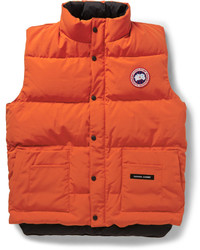 Canada goose medium 411701