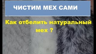 Как отбелить и почистить натуральный мех в домашних условиях. №2